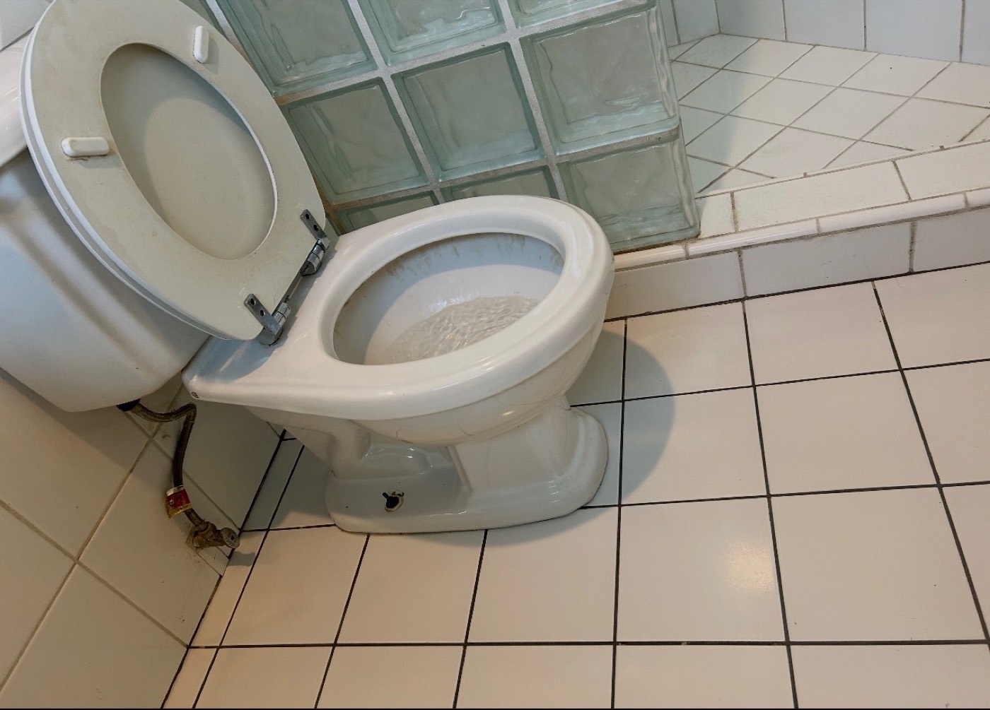 Toilet after detailed bathroom cleaning