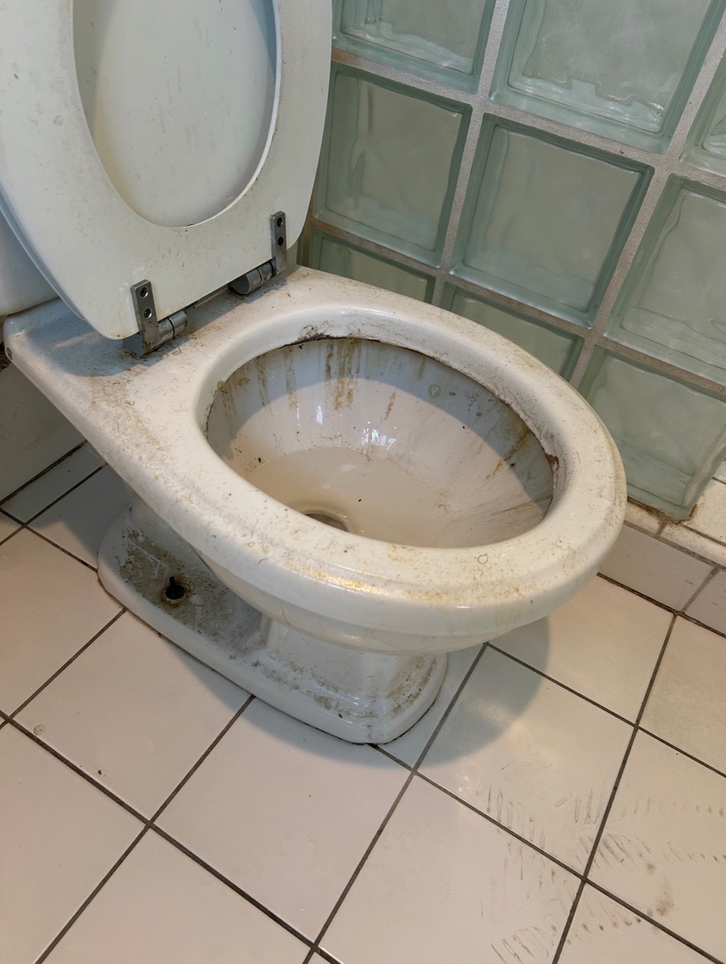 Toilet before detailed bathroom cleaning